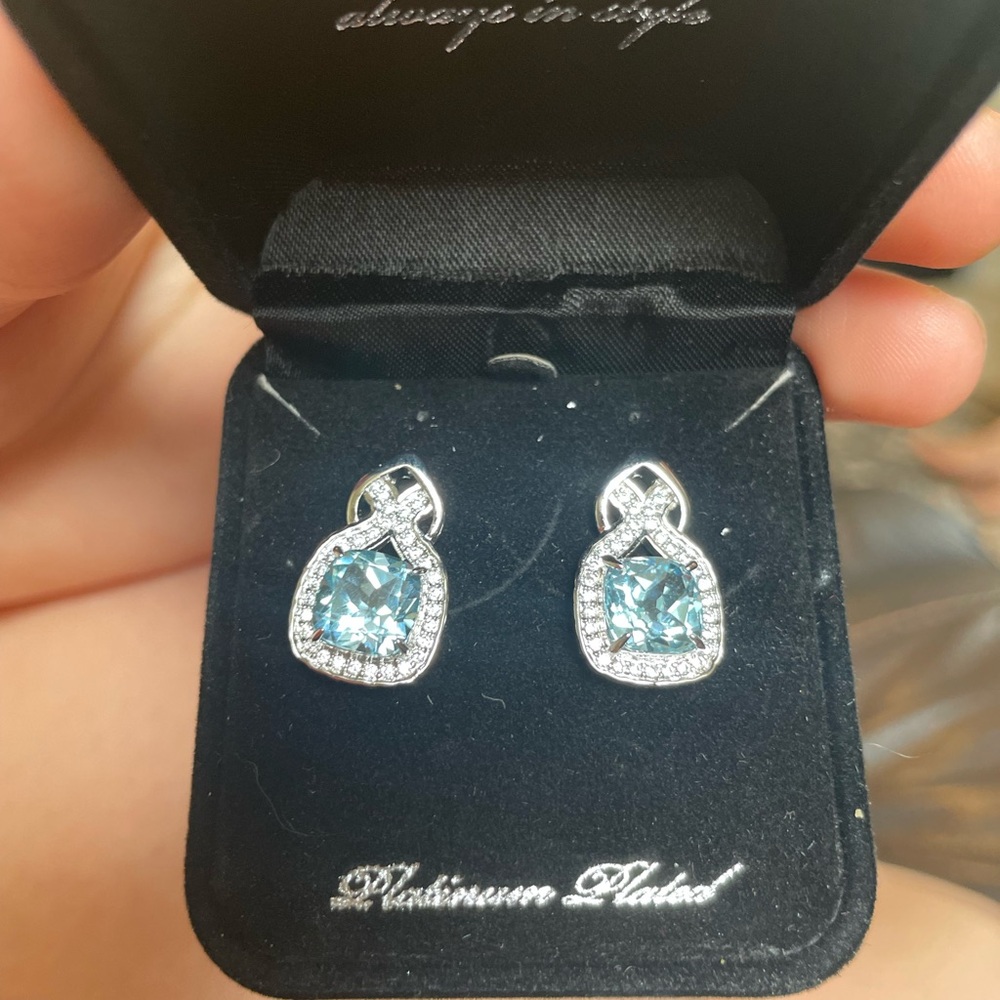 Elegant Silver and Blue Earrings